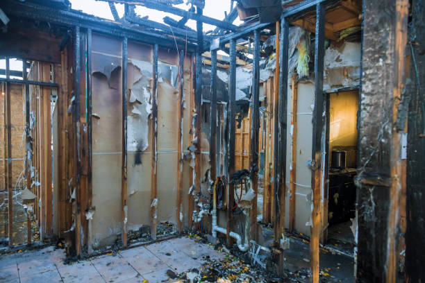 Professional Smoke Damage Removal technician working in Middleburg Heights, OH
